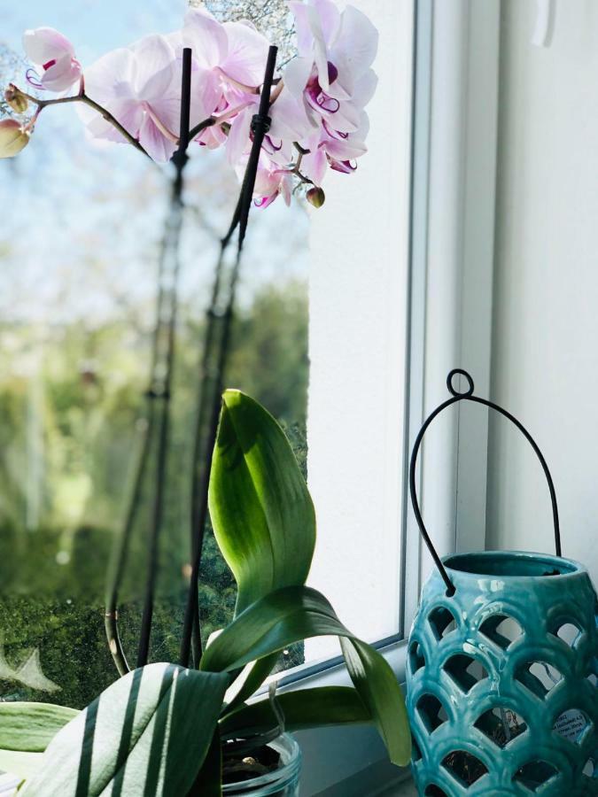 Апартаменти Haus Stoertebeker No.2 Бергеренде-Ретвіш Екстер'єр фото